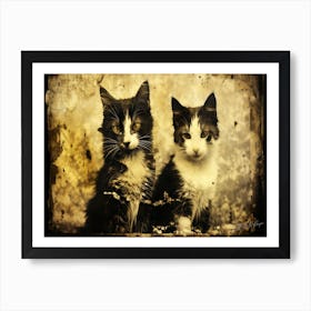 Antique Cats - Two Vintage Kittens Art Print