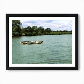 Boats On A Lake Art Print