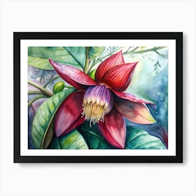 Passion Flower Art Print