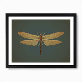 Dragonfly Common Whitetail Plathemis Illustration Vintage 3 Póster