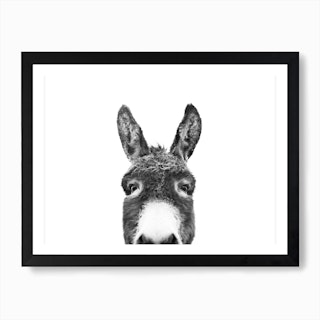 Hello Donkey Art Print
