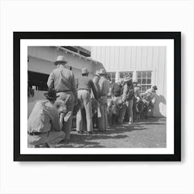 Lineup Of Ranchmen With Their Sheep Waiting For The Judging, San Angelo Fat Stock Show, San Angelo, Texas By Art Print