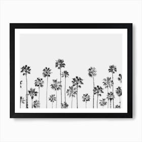 Black & White Palms 2 Art Print