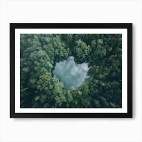 Aerial View Of A Forest Art Print