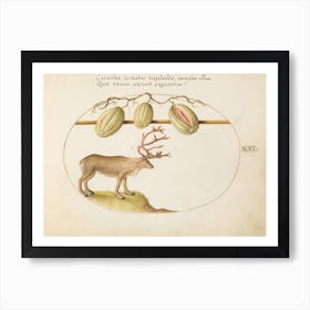 Quadervpedia Animals And Reptiles, Joris Hoefnagel 1 Art Print