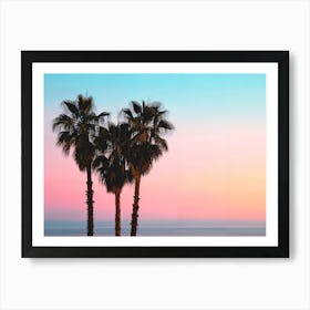 California Dreaming - Coastal Palms Art Print