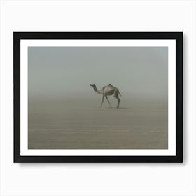 Lonely Camel In The Desert Art Print