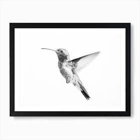 Modern Hummingbird Art Print