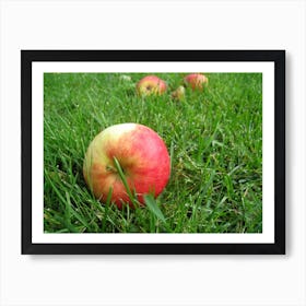 Red Apples In The Grass Art Print