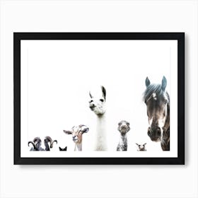 Animal Crew Art Print