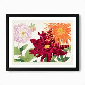 Dahlias 1 Art Print