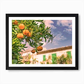 Orange fruits hanging on tree with green leaves Art Print