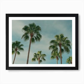 Summer Time With Green Palms And Blue Skies Colour Travel Photography Landscape Art Print