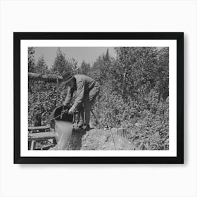 William Besson Dumping Water From Shaft Near Winton, Minnesota By Russell Lee Affiche