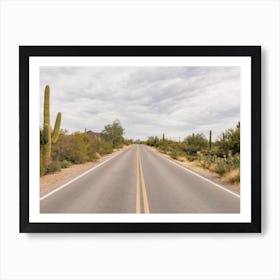 Lonely Desert Road Art Print