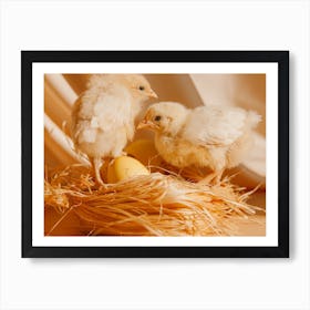 Chickens In A Nest Art Print