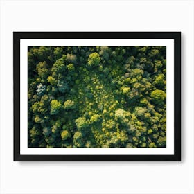 Aerial View Capturing The Vibrant Canvas Of A Lush Green Forest In Springtime Canopy Of Dense Reju (1) Art Print