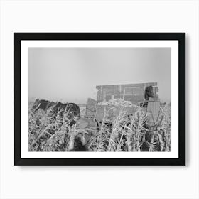 Untitled Photo, Possibly Related To Farmer Handpicking Corn Near Aledo, Mercer County, Illinois By Russell Lee Art Print