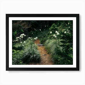 Bear Grass Trail Art Print