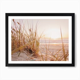 Beach Grass Sunset Art Print