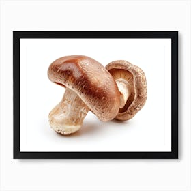 Two Mushrooms On A White Background Art Print