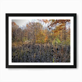 Wildflowers In The Woods Art Print