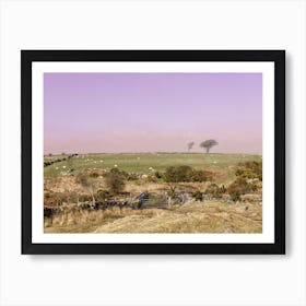 Dartmoor sunset Art Print