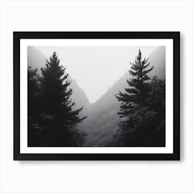 Road Through The Forest Art Print