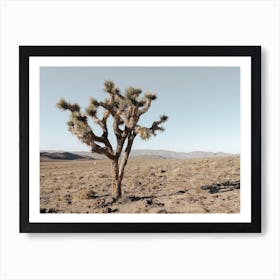 Warm Desert Landscape Art Print