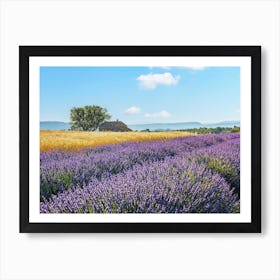 French Countryside Art Print