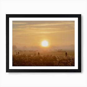 Sunrise and the Cows Art Print