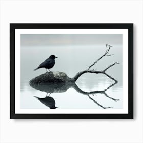 Black Bird On A Branch Art Print