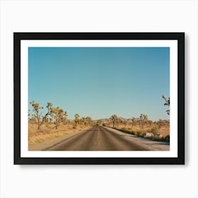 Joshua Tree Road on Film Art Print