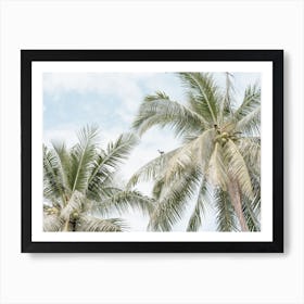 Palm Trees On Tropical Island Indonesia Art Print