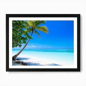 Relax Ocean Plant Idylli Holiday Coastline Beautiful Calm Shore Blue Paradise Sunlight N 18 Art Print