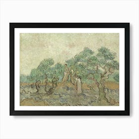 The Olive Orchard, By Vincent Van Gogh, 1889, Dutch Post Impressionist Painting, Oil On Canvas Art Print