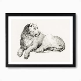 Lying Lion 1, Jean Bernard Art Print