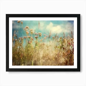 Wildflowers In The Meadow Art Print