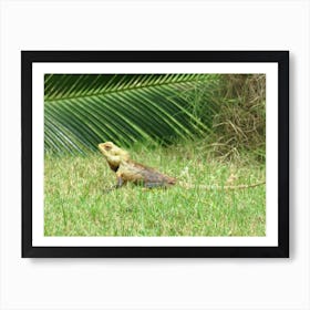 Lizard In The Grass Art Print