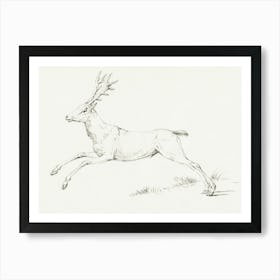 Vintage Deer Sketch Art Print