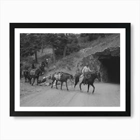 Sheepherders And Their Horses Moving Camp From Summer To Winter Range, Ouray County, Colorado By Russell Lee Art Print