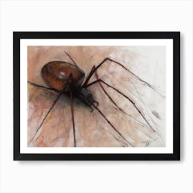 Spider Art Print