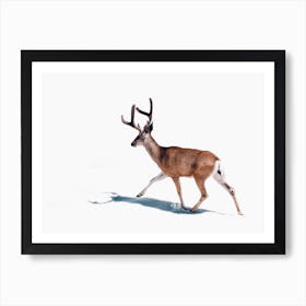 Winter Buck Deer Art Print