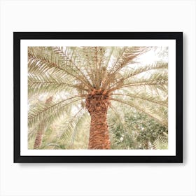 Tropical Palm Tree 2 Art Print