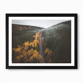 New England Forest Road Art Print