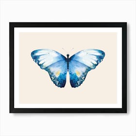 Blue Butterfly Art Print