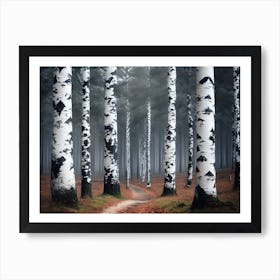 Birch Trees 71 Art Print