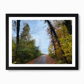 Road In The Woods 4 Art Print