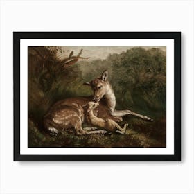 Deer And A Foal 1 Art Print