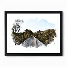 Valley Of The Giants, Southern Wa, Western Australia Art Print